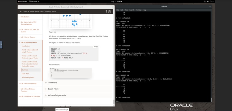 Oracle AI Vector Search – screenshot 2