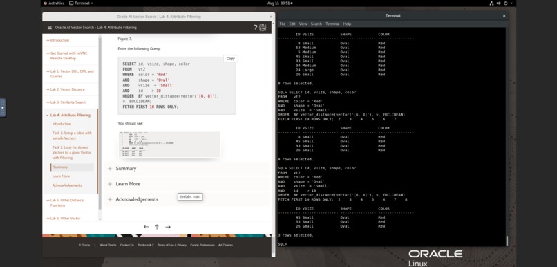 Oracle AI Vector Search – screenshot 3