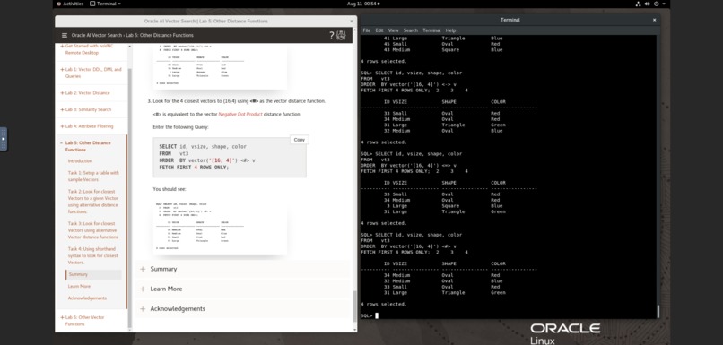 Oracle AI Vector Search – screenshot 4