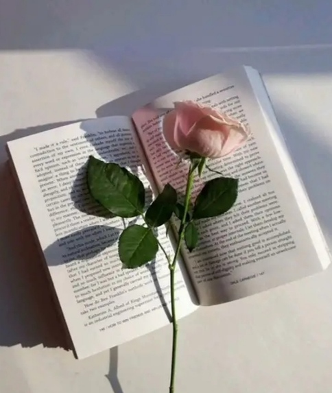 Education  – screenshot 1