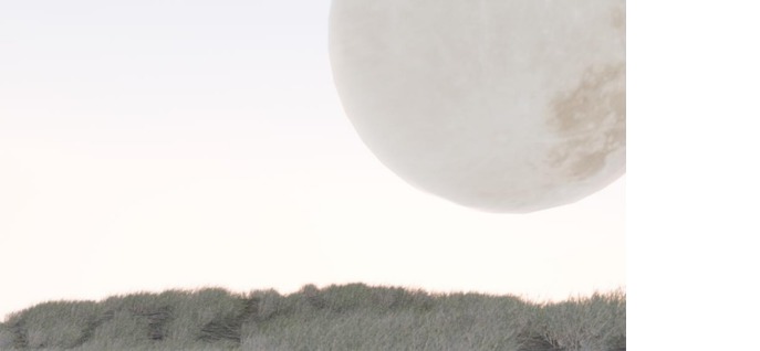 [U1] - TaiChi Experience  – screenshot 7