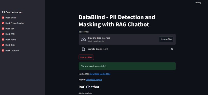 DataBlind – screenshot 3