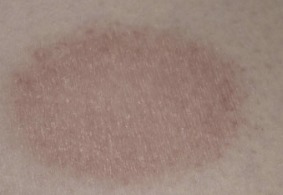 LANTERN – screenshot 2