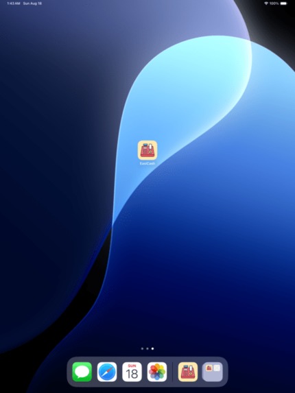 EasiCash – screenshot 2