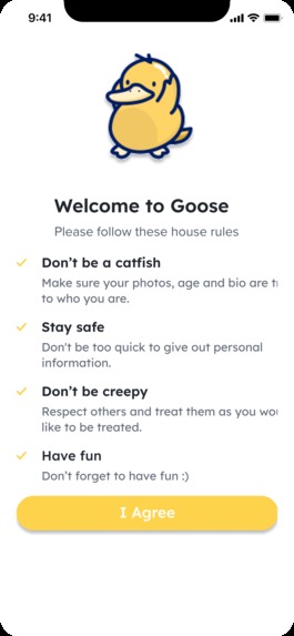 Silly Goose – screenshot 1
