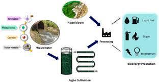 Algal Bloom Reduction Robot (ABRR) – screenshot 4