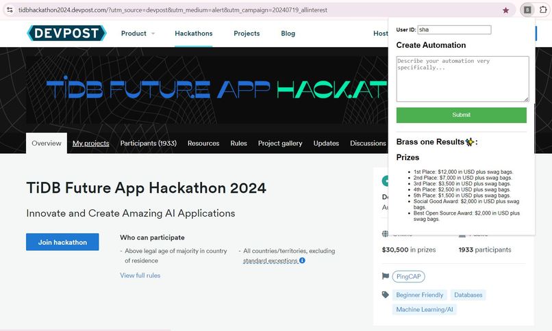 Brass One - Web Automations – screenshot 5