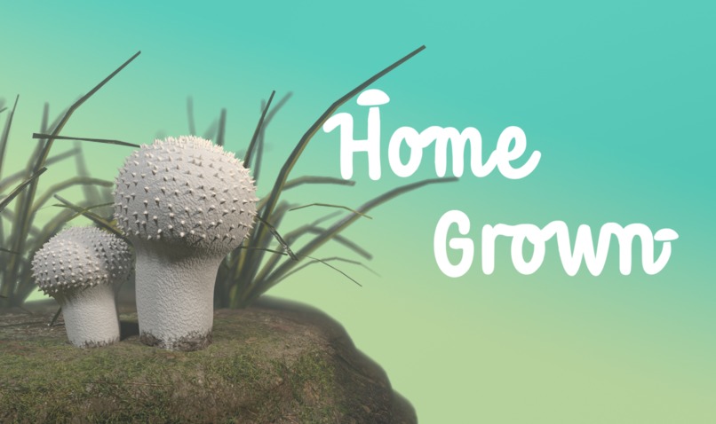 [G4] - HomeGrown – screenshot 1