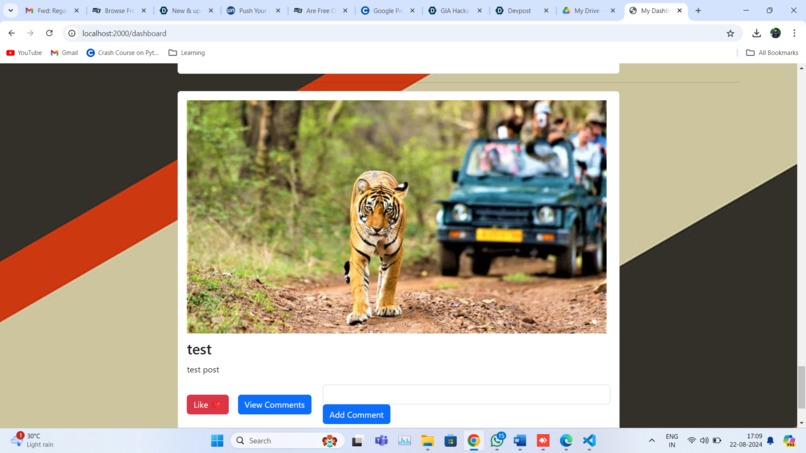 Social Media Dashboard  – screenshot 3
