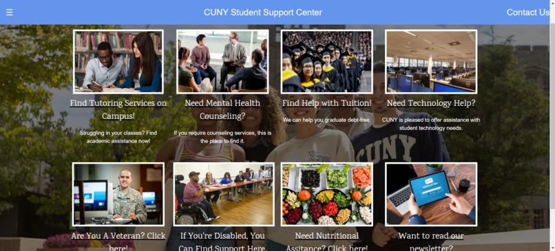 CUNY Student Support Hub  – screenshot 2
