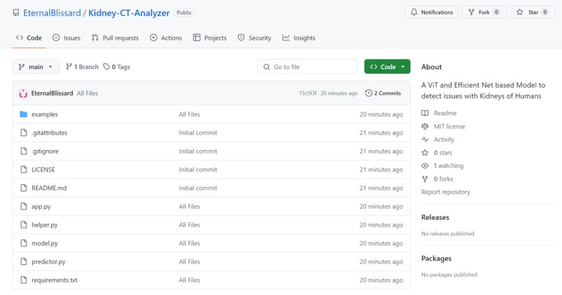 Kidney CT Analyzer – screenshot 4