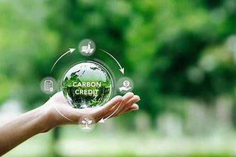 Carbon Credit Chronicles