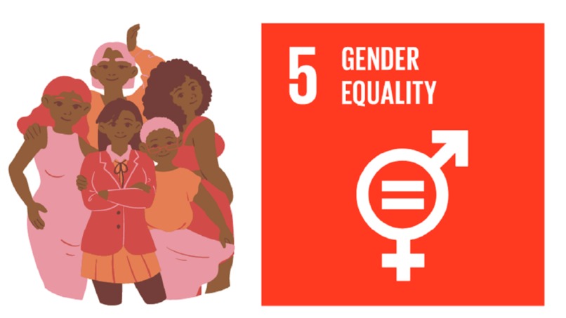 SDG goal 5: Gender based analysis of ICT access  – screenshot 1