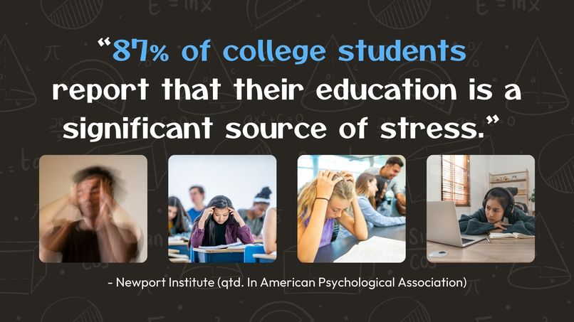 Qiz – screenshot 2