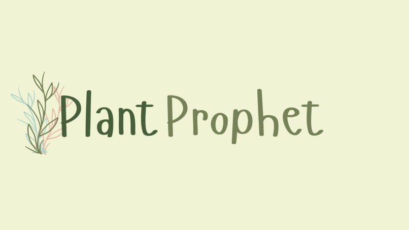 Plant-Prophet – screenshot 1