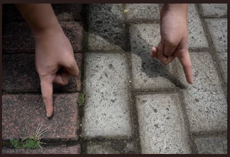 bricks for future – screenshot 5