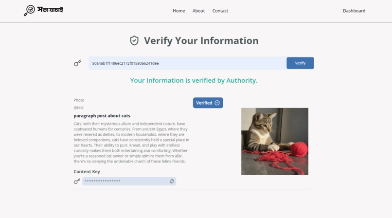 Sotto-Jachai Project – screenshot 1