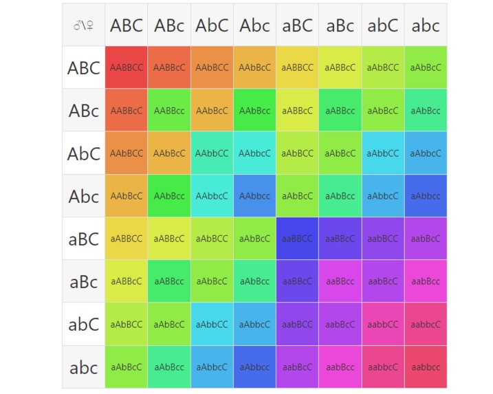 An Online Punnett Square Maker for genetic Crosses – screenshot 1