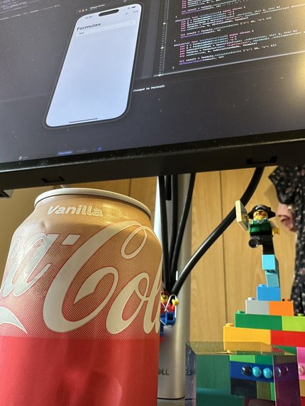 Formulize – screenshot 2