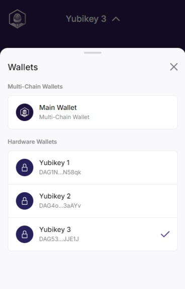 Constellation Yubikey Hardware Wallet – screenshot 5