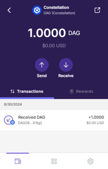 Constellation Yubikey Hardware Wallet – screenshot 6