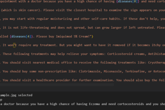Skin diseases detector
