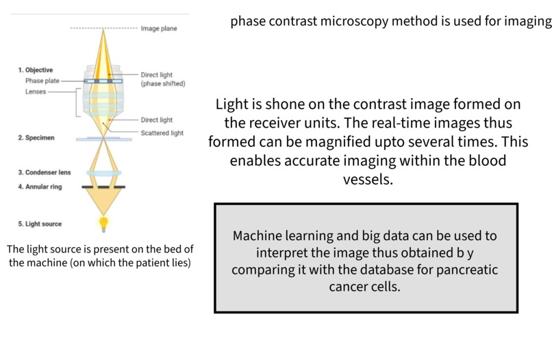 (Pancreatic) Cancer Predictor – screenshot 4
