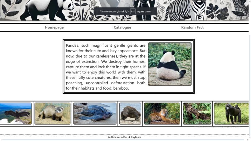 Endangered Animals Website – screenshot 3