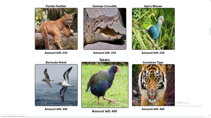 Endangered Animals Website – screenshot 6