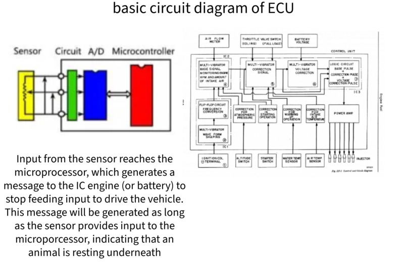 Stray Saver – screenshot 4