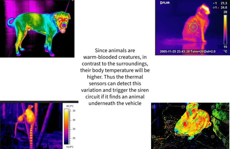 Stray Saver – screenshot 2