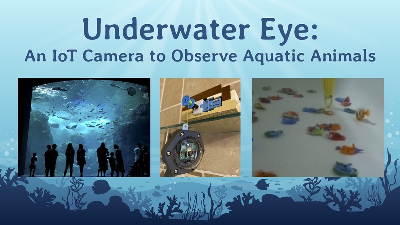 Underwater Eye – screenshot 1