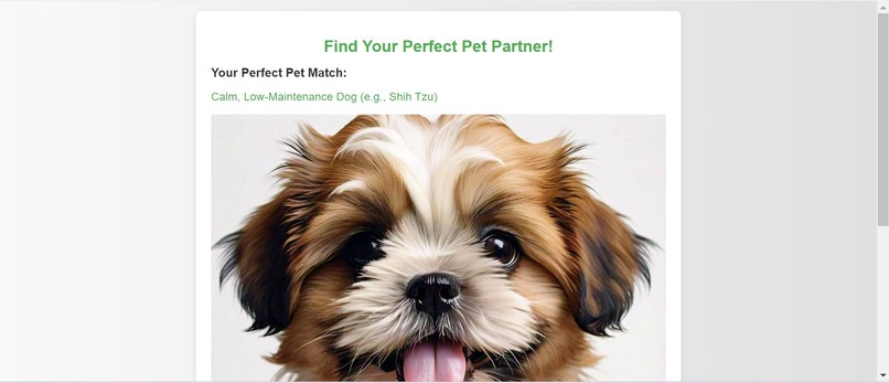 Pet Partner – screenshot 5