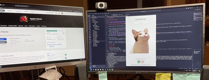 Calls4Mental – screenshot 2