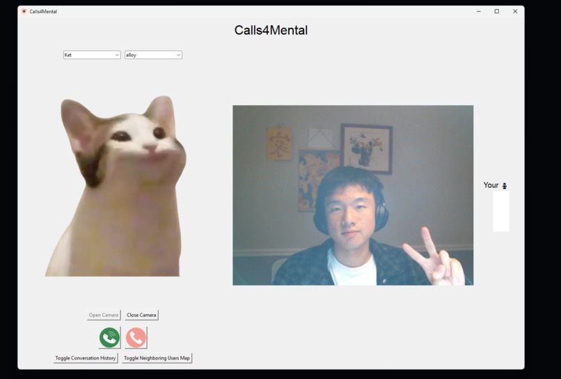 Calls4Mental – screenshot 5