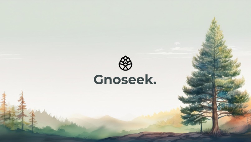 Gnoseek – screenshot 1