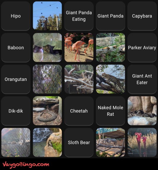 Vaygo Bingo – screenshot 5