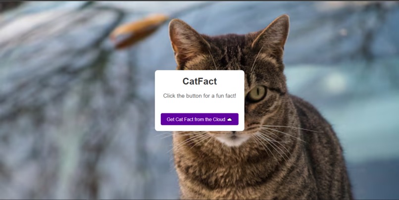 CatFact – screenshot 1