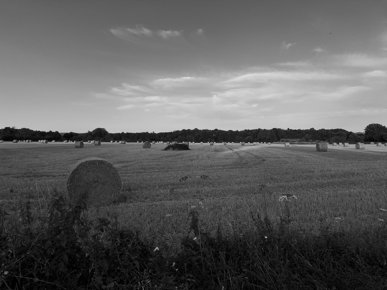 Zerocam Mono – screenshot 3