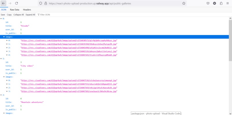 PicFinds API – screenshot 2