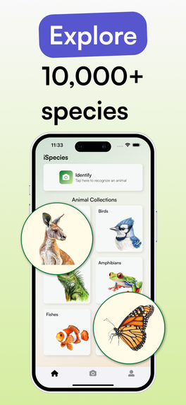 iSpecies – screenshot 3