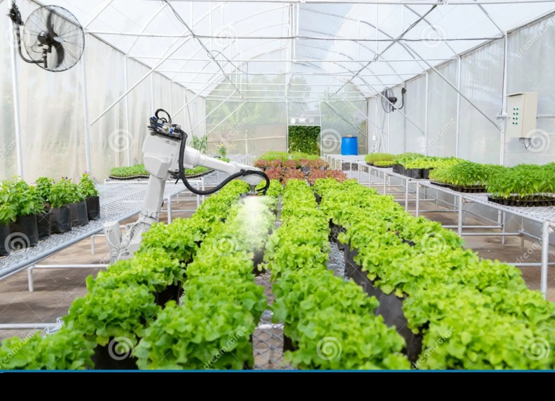 Water Potato Program – screenshot 4