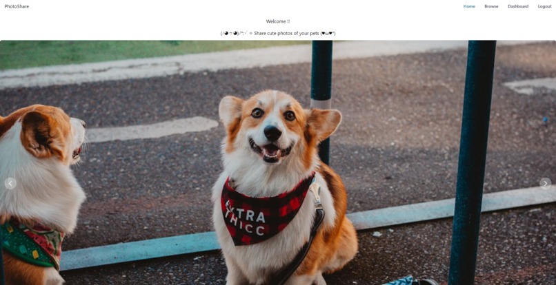 Photo Sharing App – screenshot 1