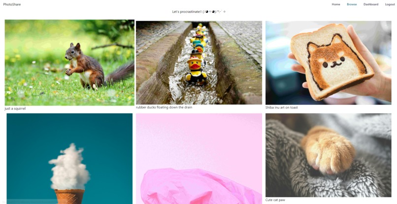 Photo Sharing App – screenshot 2