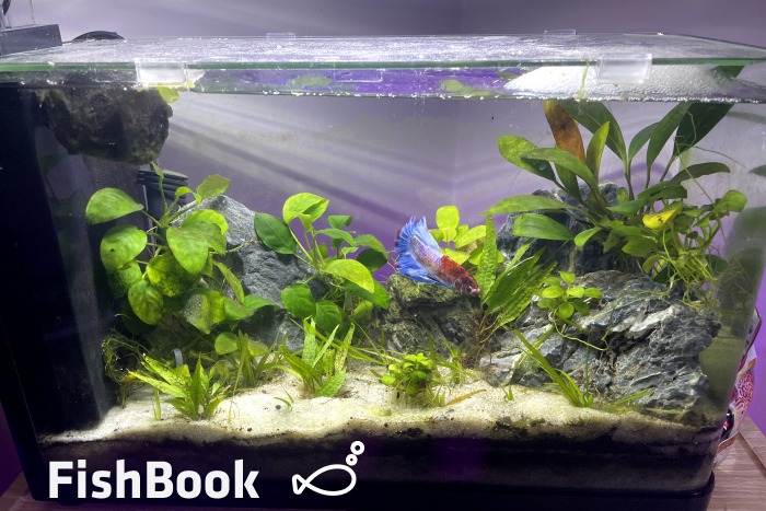 FishBook – screenshot 1