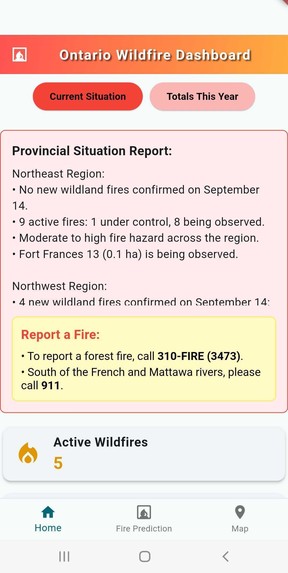 Wildfyre – screenshot 1