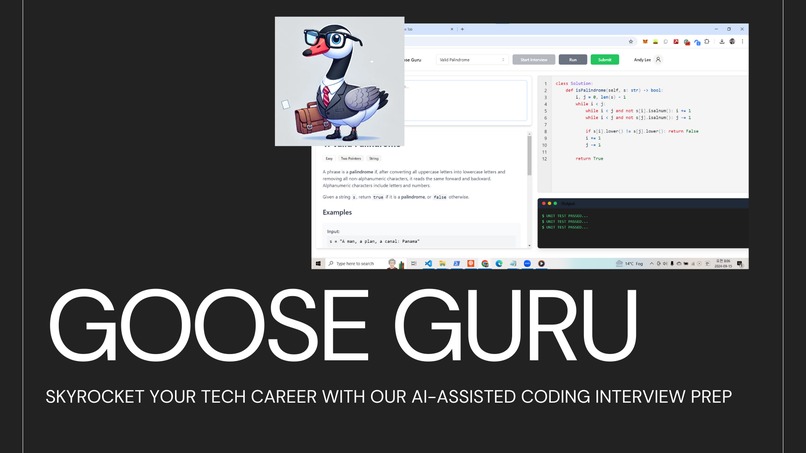Goose Guru – screenshot 1