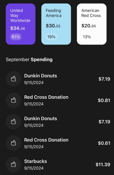 Dust – screenshot 2