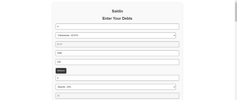 Saldin-capital-one – screenshot 2