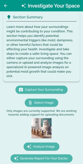 Anecdotal AI – screenshot 13